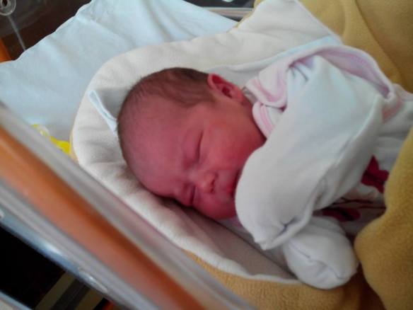 And now in daylight!