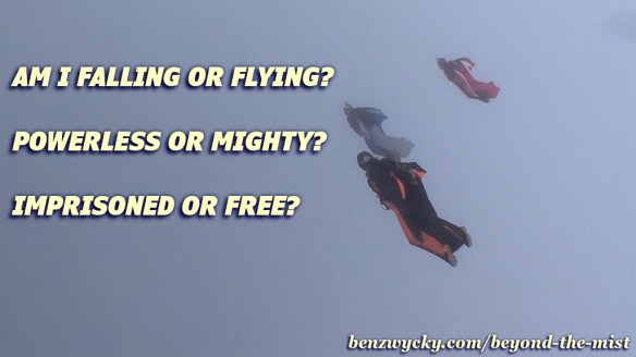 BTM_fallig_flying_meme